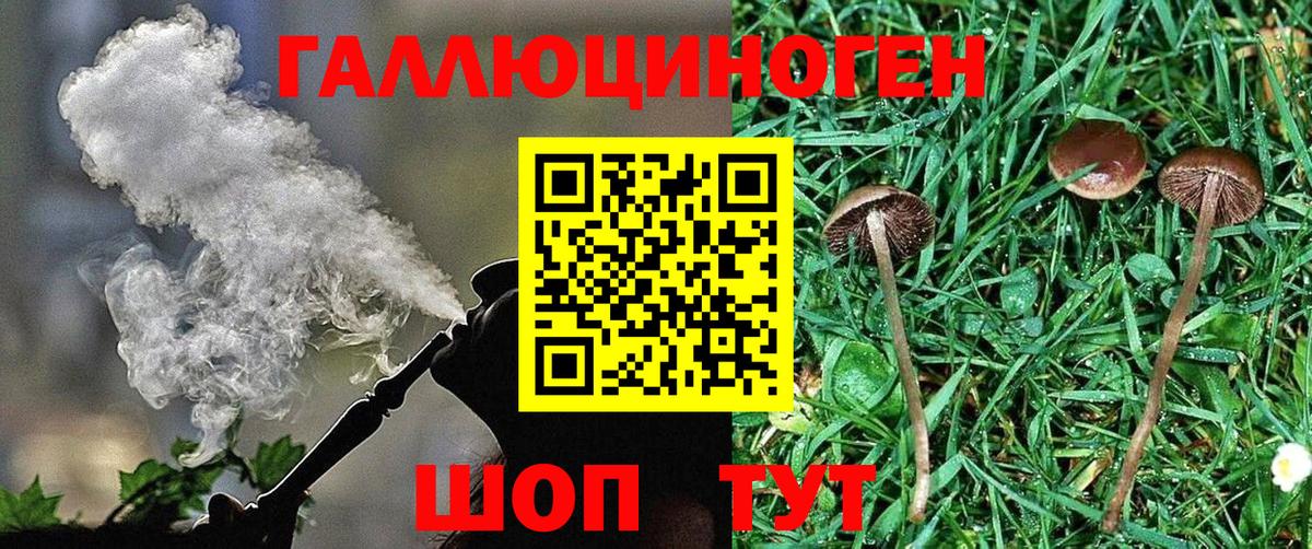 Псилоцибиновые грибы мухоморы  Вход с VPN  Тайшет 