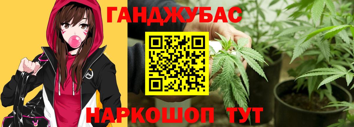 Каннабис сатива Тайшет